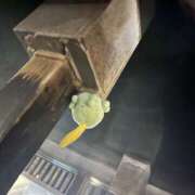 ヒメ日記 2025/05/27 03:58 投稿 さき 錦糸町人妻セレブリティ（ユメオト）