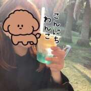 ヒメ日記 2025/06/13 12:50 投稿 さき 錦糸町人妻セレブリティ（ユメオト）