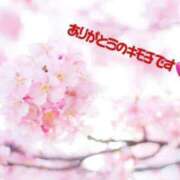 ヒメ日記 2026/03/17 16:48 投稿 つぼみ 熟女の風俗最終章 高崎店