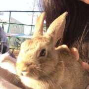 ヒメ日記 2025/09/04 21:00 投稿 れんか 茨城龍ヶ崎取手ちゃんこ