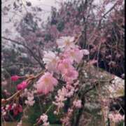 ヒメ日記 2025/04/04 16:31 投稿 百瀬 奈々 こあくまな人妻・熟女たち山口店（KOAKUMAグループ）