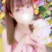 ヒメ日記 2025/05/16 11:55 投稿 みゆ 若葉