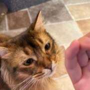 ヒメ日記 2025/07/29 18:31 投稿 すぴか ZERO