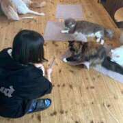 ヒメ日記 2025/08/08 12:04 投稿 すぴか ZERO