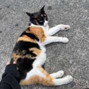 ヒメ日記 2025/08/09 18:02 投稿 すぴか ZERO