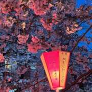 ヒメ日記 2025/04/08 15:53 投稿 木下えま すべりん棒シャンプー娘。（横浜ハレ系）