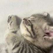 ヒメ日記 2025/07/19 00:29 投稿 木下えま すべりん棒シャンプー娘。（横浜ハレ系）