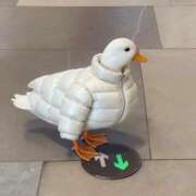 ヒメ日記 2025/10/26 13:55 投稿 木下えま すべりん棒シャンプー娘。（横浜ハレ系）