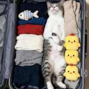 ヒメ日記 2025/12/13 16:33 投稿 木下えま すべりん棒シャンプー娘。（横浜ハレ系）