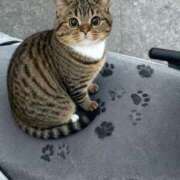 ヒメ日記 2026/01/02 15:54 投稿 木下えま すべりん棒シャンプー娘。（横浜ハレ系）