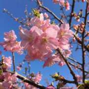 木下えま 🌸土曜日🌸 すべりん棒シャンプー娘。（横浜ハレ系）