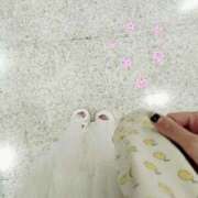 ヒメ日記 2025/08/13 09:15 投稿 りほ 渋谷 風俗 いきなりビンビン伝説