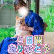 ヒメ日記 2026/07/27 19:31 投稿 ゆり ミラー