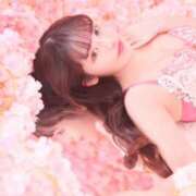APH☆胡桃☆プレミヤ クィーンいます👸💕 ゴールドクイーン