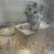 ヒメ日記 2025/04/18 13:14 投稿 まお 夜這専門発情する奥様たち 難波店