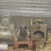 ヒメ日記 2025/04/25 15:14 投稿 まお 夜這専門発情する奥様たち 難波店