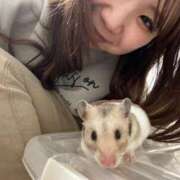 ヒメ日記 2025/06/12 22:04 投稿 まお 夜這専門発情する奥様たち 難波店