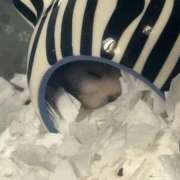 ヒメ日記 2025/08/02 15:34 投稿 まお 夜這専門発情する奥様たち 難波店