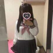 ヒメ日記 2025/04/29 08:27 投稿 アズキ ファーストレディー