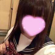 ヒメ日記 2025/06/04 12:03 投稿 アズキ ファーストレディー