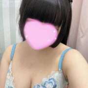 ヒメ日記 2025/06/15 08:09 投稿 アズキ ファーストレディー