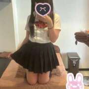 ヒメ日記 2025/07/06 08:11 投稿 アズキ ファーストレディー