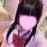 ヒメ日記 2025/07/12 07:58 投稿 アズキ ファーストレディー