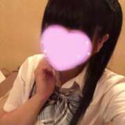 ヒメ日記 2025/07/26 08:00 投稿 アズキ ファーストレディー