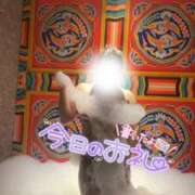 ヒメ日記 2026/03/15 22:33 投稿 月宮　ひなの エテルナ京都