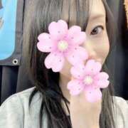 ヒメ日記 2026/03/30 08:17 投稿 明菜(あきな) 人妻城 横浜本店