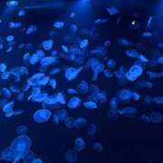 ヒメ日記 2025/08/28 20:14 投稿 そなた One More奥様　蒲田店