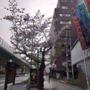 ヒメ日記 2025/04/10 20:01 投稿 大和　こはる ギン妻パラダイス 谷九店