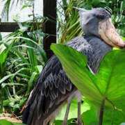 ヒメ日記 2025/05/03 12:49 投稿 大和　こはる ギン妻パラダイス 谷九店