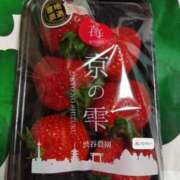 大和　こはる 日曜日のお礼&明日 ギン妻パラダイス 谷九店