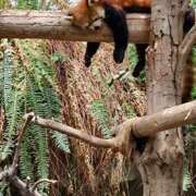 ヒメ日記 2026/04/06 07:30 投稿 大和　こはる ギン妻パラダイス 谷九店