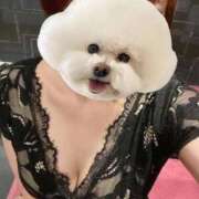 ヒメ日記 2026/01/24 17:49 投稿 ちなつ もしも優しいお姉さんが本気になったら...横浜店