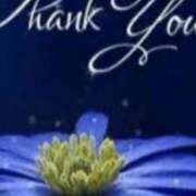 ヒメ日記 2025/05/23 13:04 投稿 いぶき 熟女の風俗最終章 新宿店