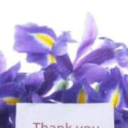 いぶき 本指名様ありがとうございました 熟女の風俗最終章 新宿店