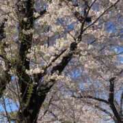 ヒメ日記 2025/04/05 12:22 投稿 いぶき 熟女の風俗最終章 池袋店