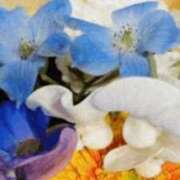 ヒメ日記 2026/02/13 19:32 投稿 いぶき 熟女の風俗最終章 池袋店