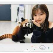 ヒメ日記 2025/10/31 13:46 投稿 松本 〇穂 【単体セクシー女優】 Canx2神戸店