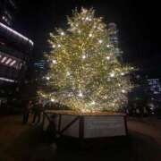 ヒメ日記 2026/02/11 10:36 投稿 松本 〇穂 【単体セクシー女優】 Canx2神戸店