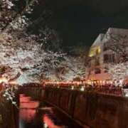 ヒメ日記 2026/03/31 10:41 投稿 彩葉(いろは) グランドオペラ横浜