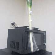 ヒメ日記 2025/05/09 17:39 投稿 りん 栃木小山ちゃんこ