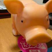 ヒメ日記 2025/06/23 13:55 投稿 りん 栃木小山ちゃんこ