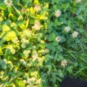 ヒメ日記 2025/06/28 12:40 投稿 りん 栃木小山ちゃんこ