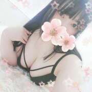 ヒメ日記 2025/06/28 16:44 投稿 りん 栃木小山ちゃんこ