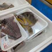 ヒメ日記 2025/09/13 10:35 投稿 りん 栃木小山ちゃんこ