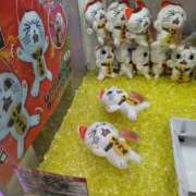 ヒメ日記 2025/10/30 10:13 投稿 りん 栃木小山ちゃんこ