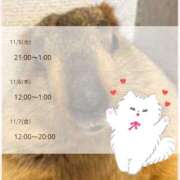 ヒメ日記 2025/11/03 13:20 投稿 りん 栃木小山ちゃんこ